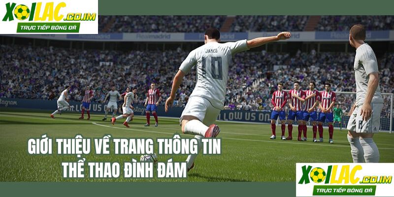 Giới thiệu về trang thông tin thể thao đình đám