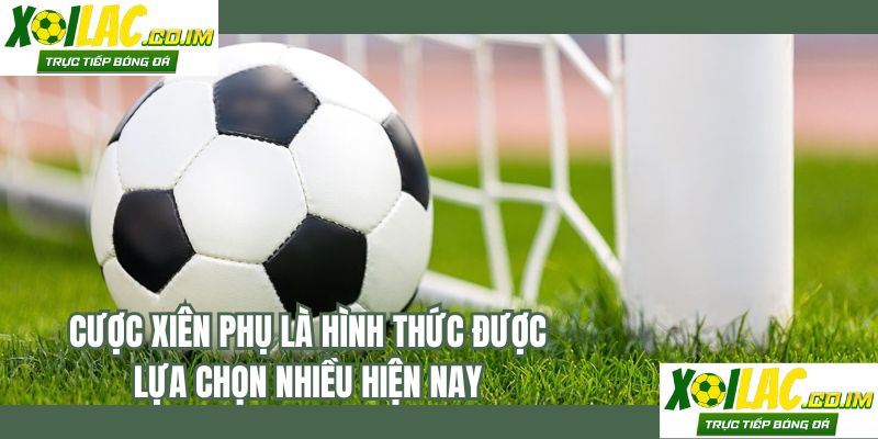 Cược xiên phụ là hình thức được lựa chọn nhiều hiện nay